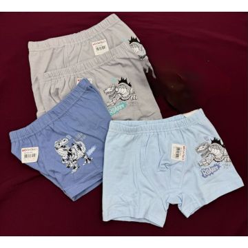 Трусы-боксер Donella Трикотаж 7571PB5